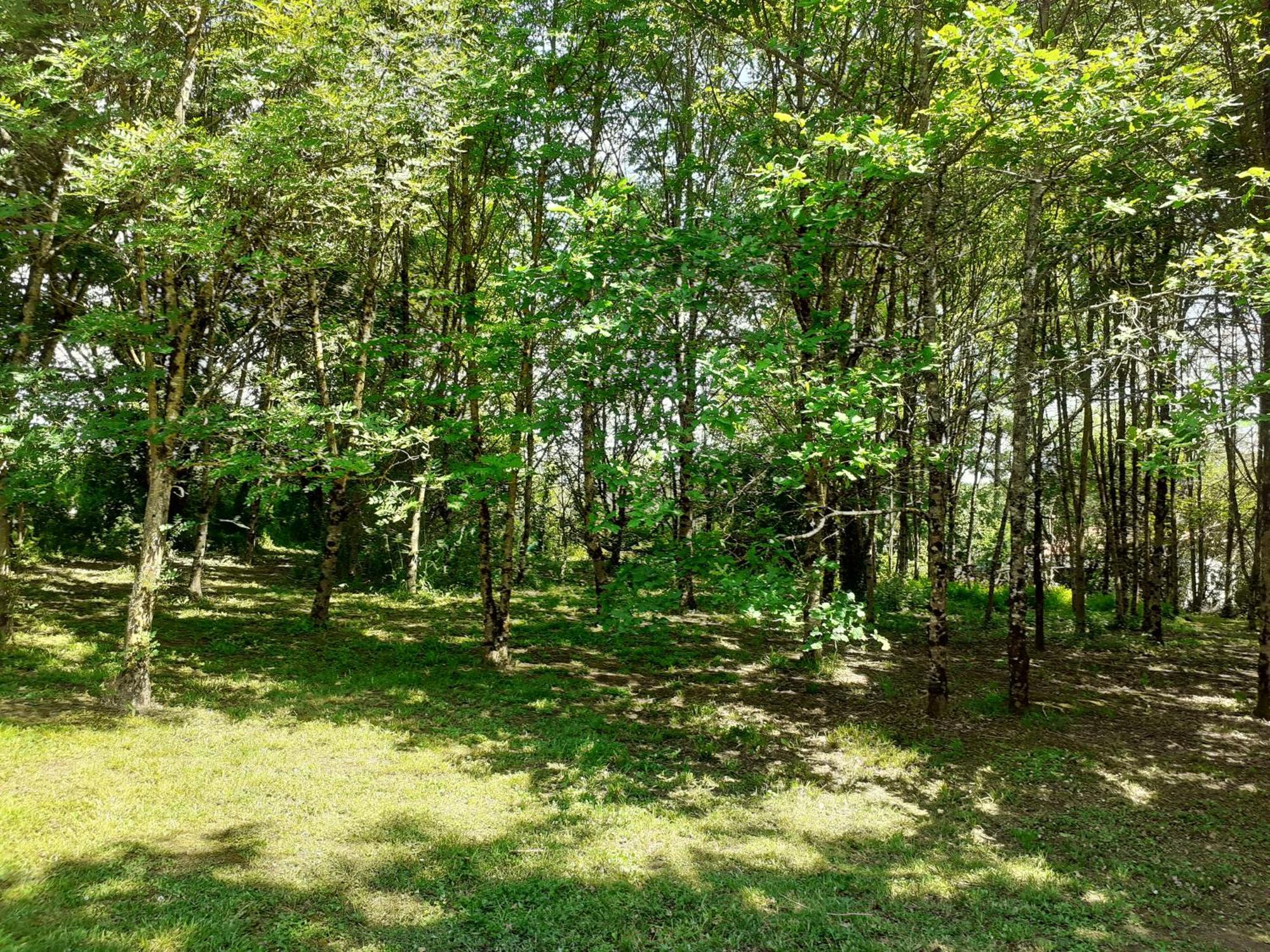 La Villa Le Petit Bois, Pres Rocamadour, Padirac Lavergne  エクステリア 写真